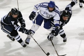 开云体育-庞蒂赛场表现引发媒体关注，庞蒂设计作品